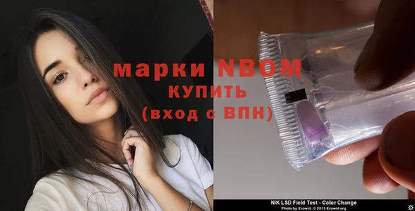 PSILOCYBIN Алзамай