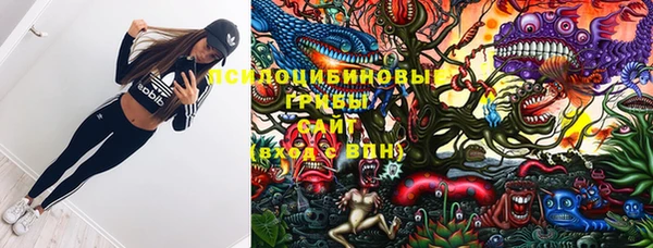 твердый Алексин