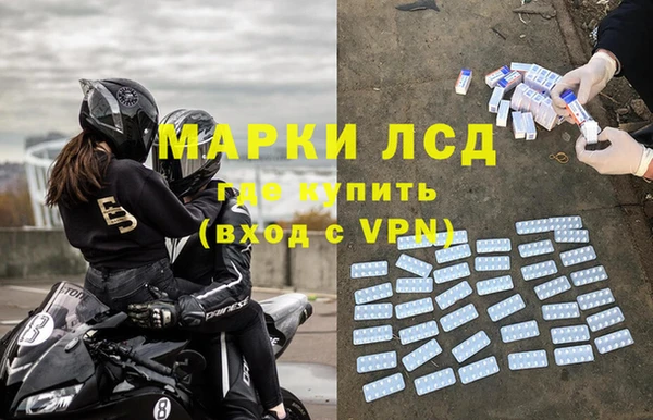 PSILOCYBIN Алзамай