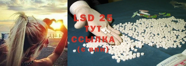 PSILOCYBIN Алзамай