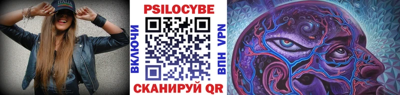 мега как войти  Пролетарск  Псилоцибиновые грибы Cubensis 